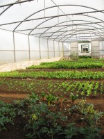 /album/visita%20de%20estudo%20%c3%a0%20biofontinhas%20/img-6878-jpg/
