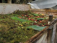 /album/visita%20de%20estudo%20%c3%a0%20biofontinhas%20/img-6885-jpg/
