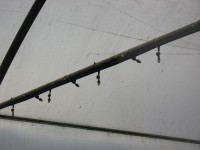 /album/visita%20de%20estudo%20%c3%a0%20biofontinhas%20/img-6883-jpg/